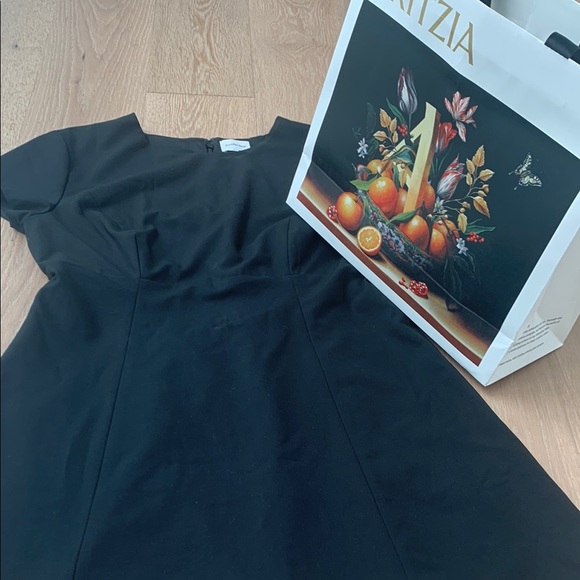 Aritzia Dresses & Skirts - Aritzia Black Knee-Length Sheath Dress